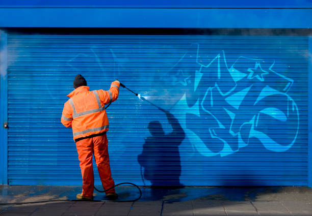 Best Garage Pressure Washing  in Golden Grove, SC